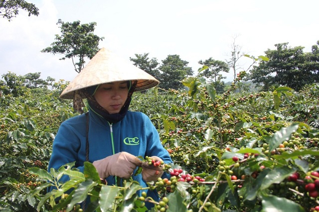 Làm kinh tế HTX ở vùng Lìa heo hút, sơn cùng thuỷ tận