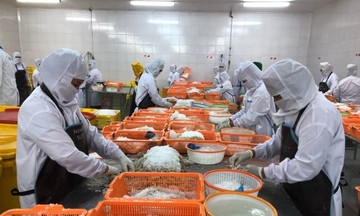 Nhật Bản vượt Mỹ trở thành thị trường xuất khẩu thủy sản lớn nhất của Việt Nam