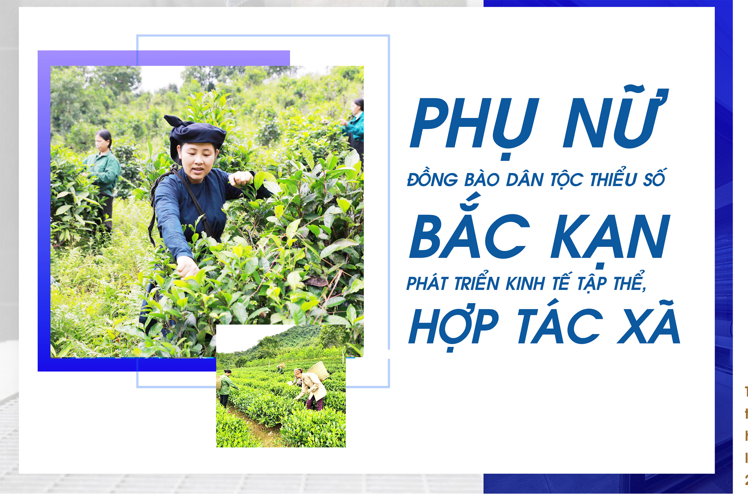 Phụ nữ đồng bào dân tộc thiểu số Bắc Kạn phát triển kinh tế tập thể, hợp tác xã