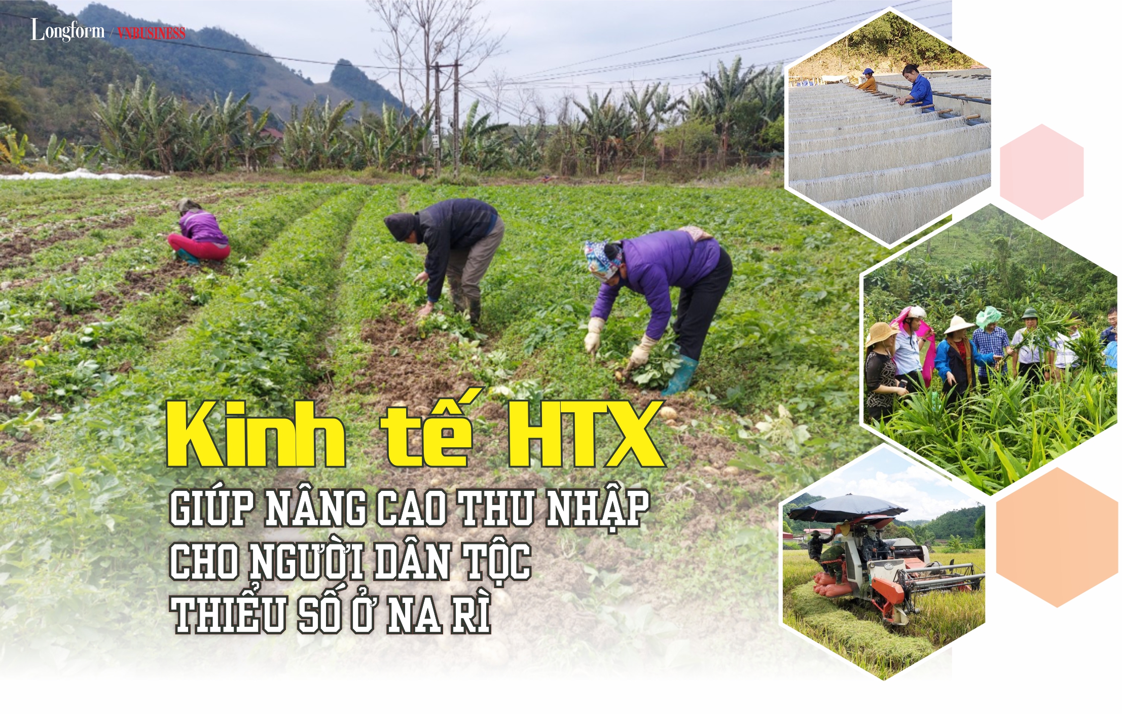 Kinh tế HTX giúp nâng cao thu nhập cho người dân tộc thiểu số ở Na Rì