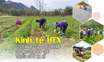 Kinh tế HTX giúp nâng cao thu nhập cho người dân tộc thiểu số ở Na Rì