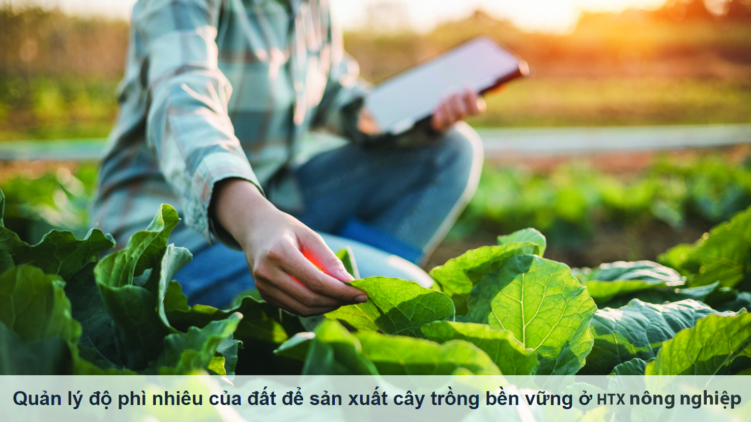Trao đổi về sửa đổi luật HTX: Sửa tên hay giữ tên Luật HTX? (Bài 1)