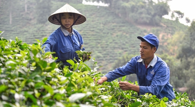 Hoàn thành sứ mệnh giảm nghèo từ những chiếc cầu nối