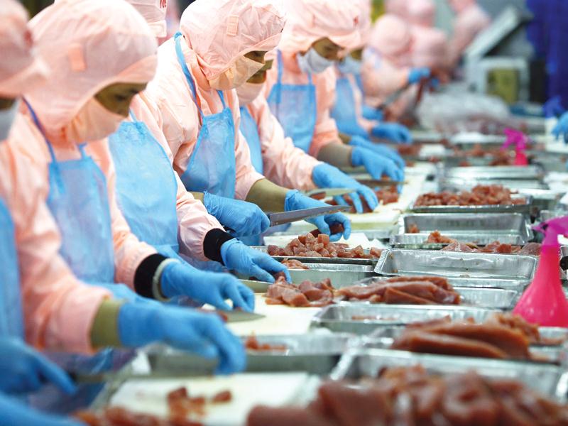 Ngành thủy sản dự kiến cán đích 11 tỷ USD