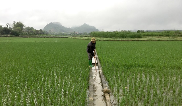 Lực đẩy giảm nghèo từ chính sách thủy lợi