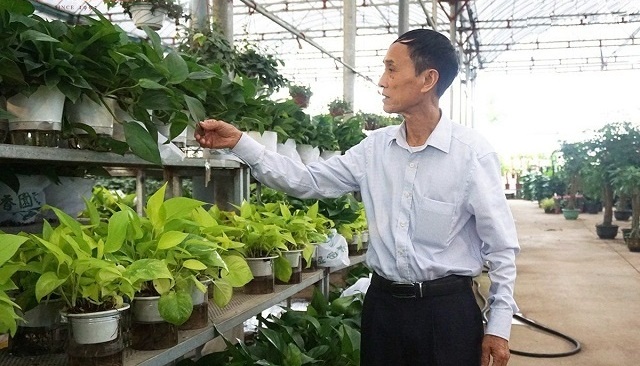 HTX góp phần xây dựng NTM ở làng hoa Xuân Quan