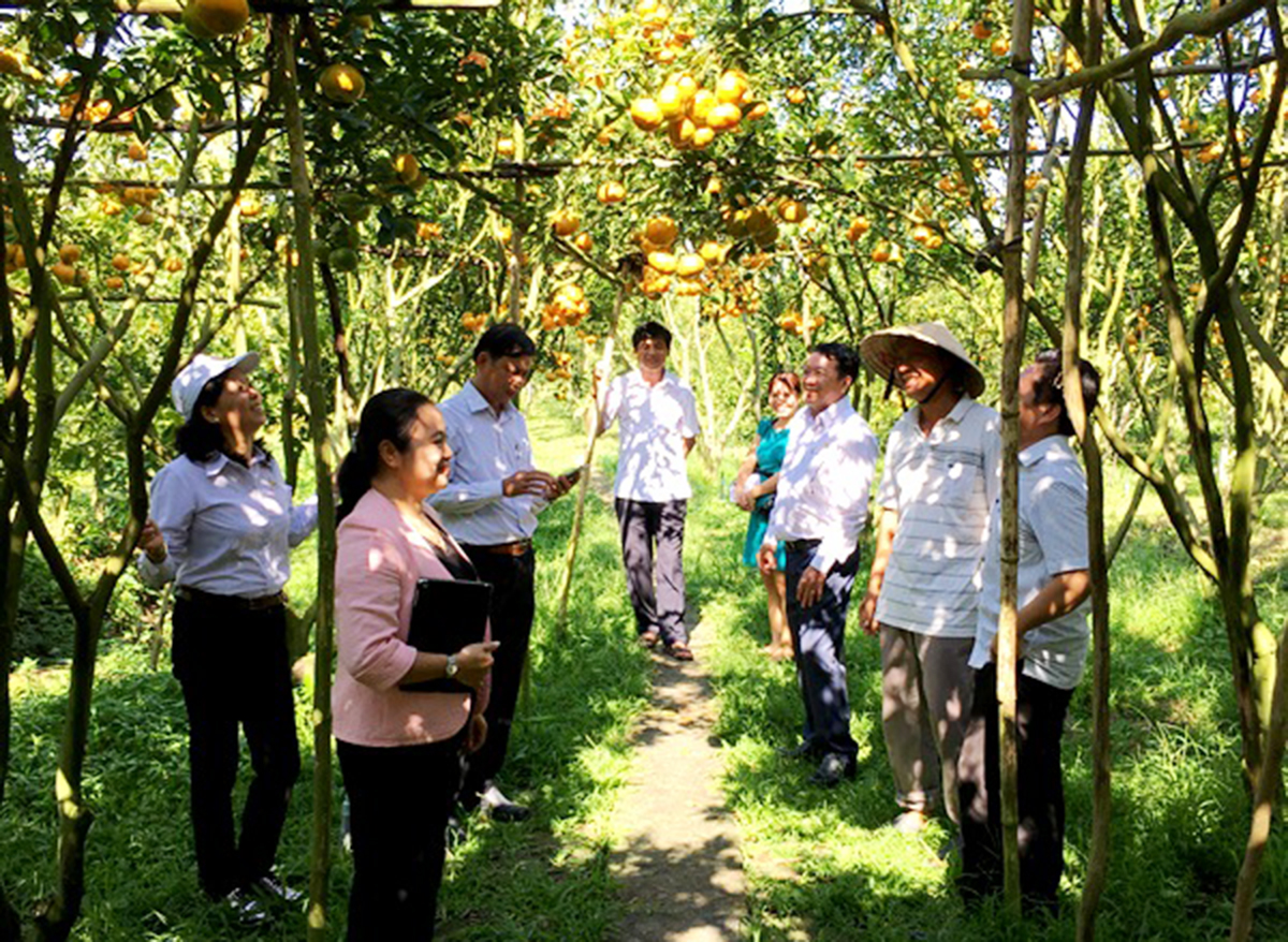Nông thôn mới Đồng Tháp bứt phá với những cách làm hay