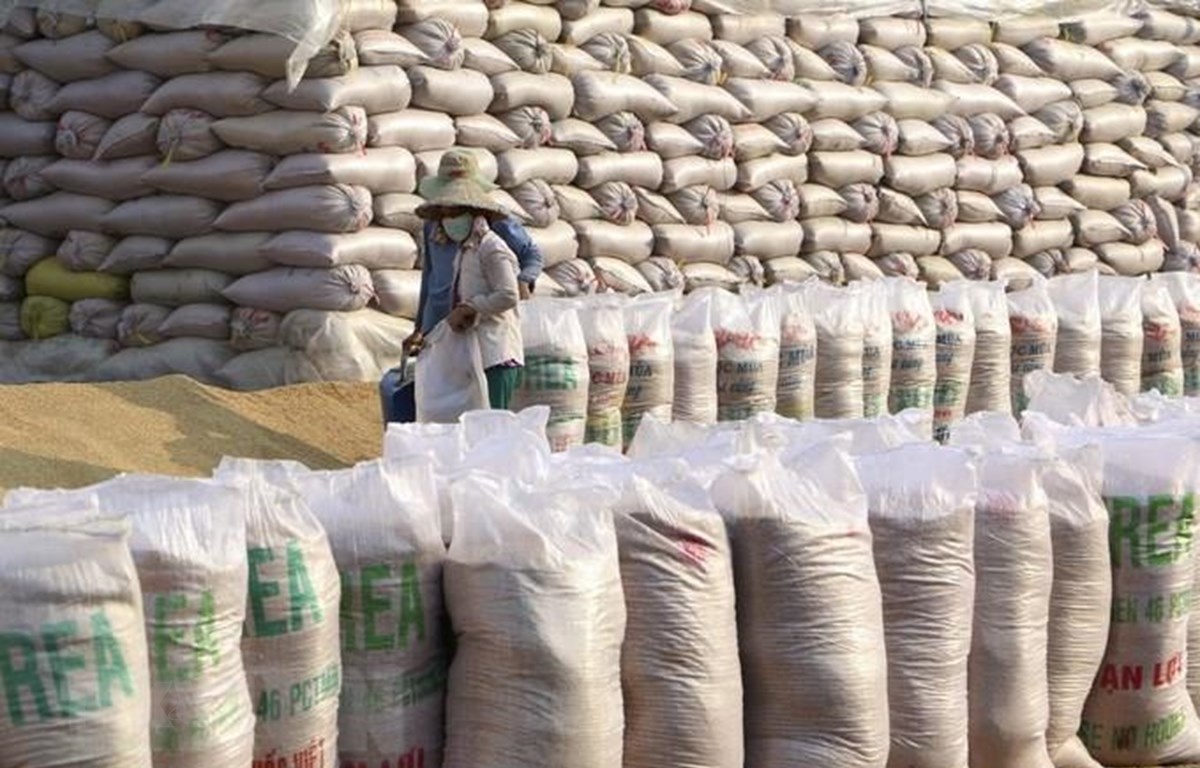 VCCI: Siết nhập khẩu gạo có thể gây thiếu nguồn cung nguyên liệu đầu vào