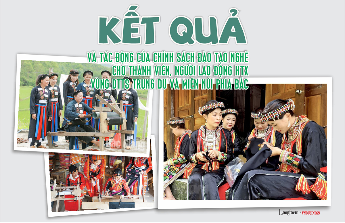 Kết quả và tác động của chính sách đào tạo nghề cho thành viên, người lao động HTX vùng DTTS trung du và miền núi phía Bắc