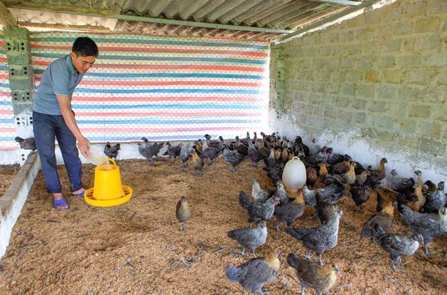 Đổi mới tư duy sản xuất nông nghiệp sau học nghề