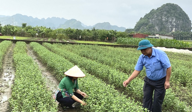 Chỉ số hài lòng của người dân tạo động lực xây dựng nông thôn mới