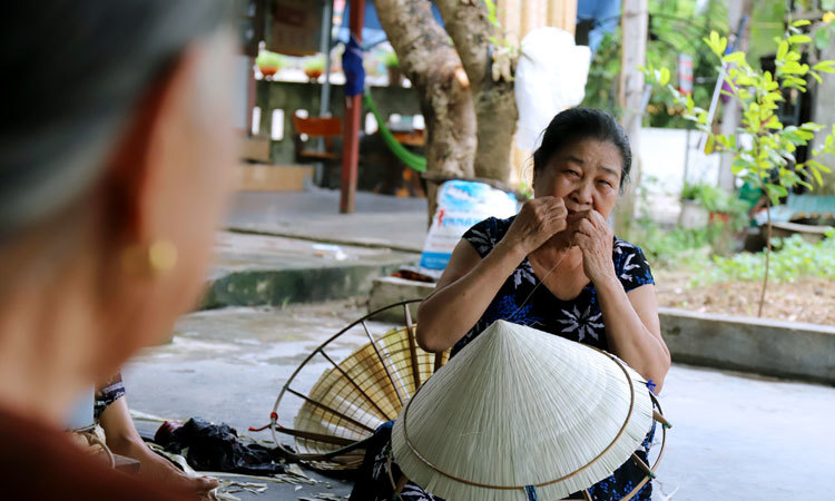 Tạo lực đẩy tài chính giúp hợp tác xã tham gia bảo hiểm xã hội