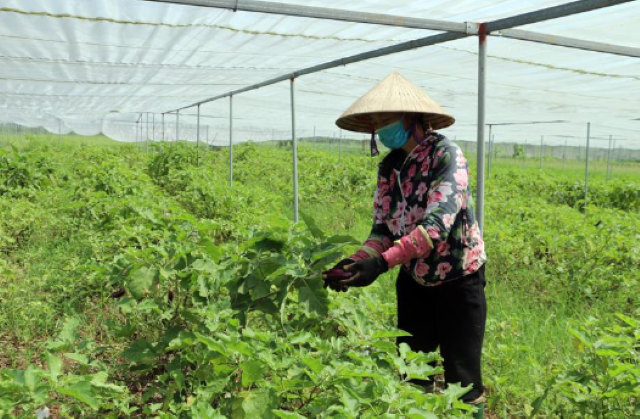 Đổi đời ở Tiên Lữ