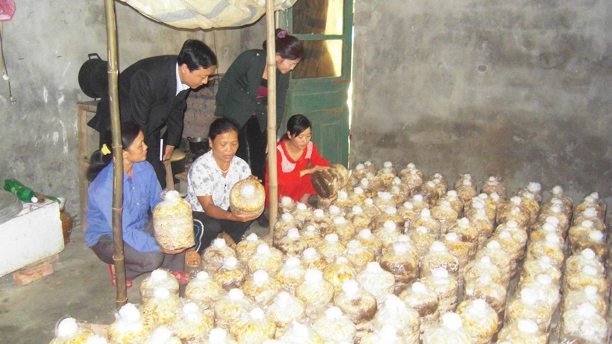 Nâng tầm đào tạo nghề cho lao động nông thôn