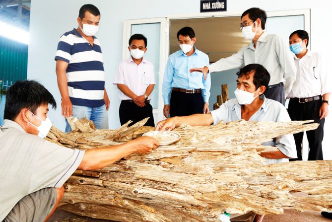 Thêm sức sống cho nông thôn mới Vạn Ninh
