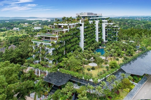 Flamingo và những niềm tự hào quốc tế