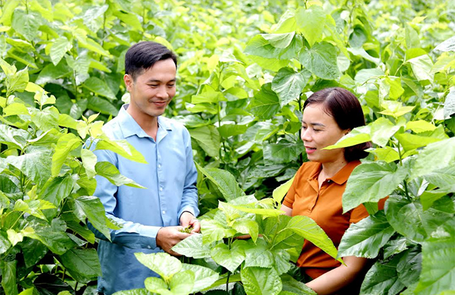 Ngước nhìn Đạ Tẻh giảm nghèo