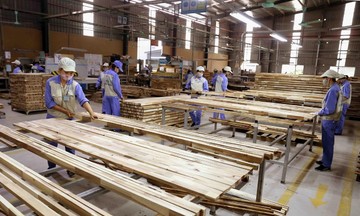 Giải quyết hoàn thuế VAT kéo dài nhiều tháng gây khó cho doanh nghiệp gỗ