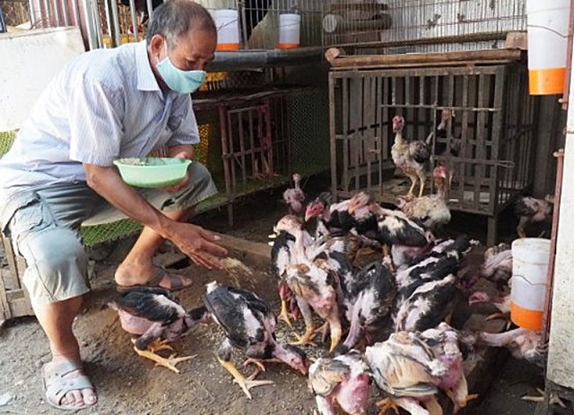 Nâng cao cuộc sống từ sản vật tiến Vua