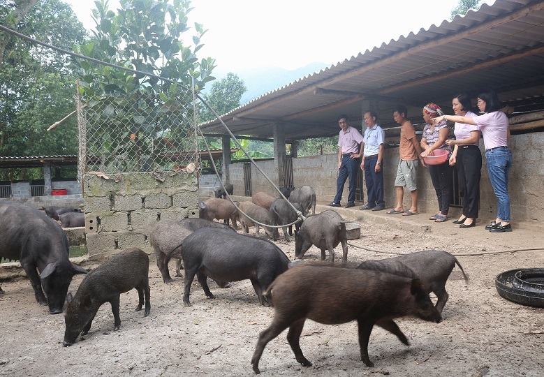 Giảm nghèo từ chuyển đổi cơ cấu cây trồng