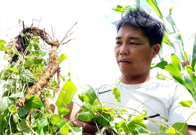 Xóa nghèo bền vững trên mảnh đất biên cương