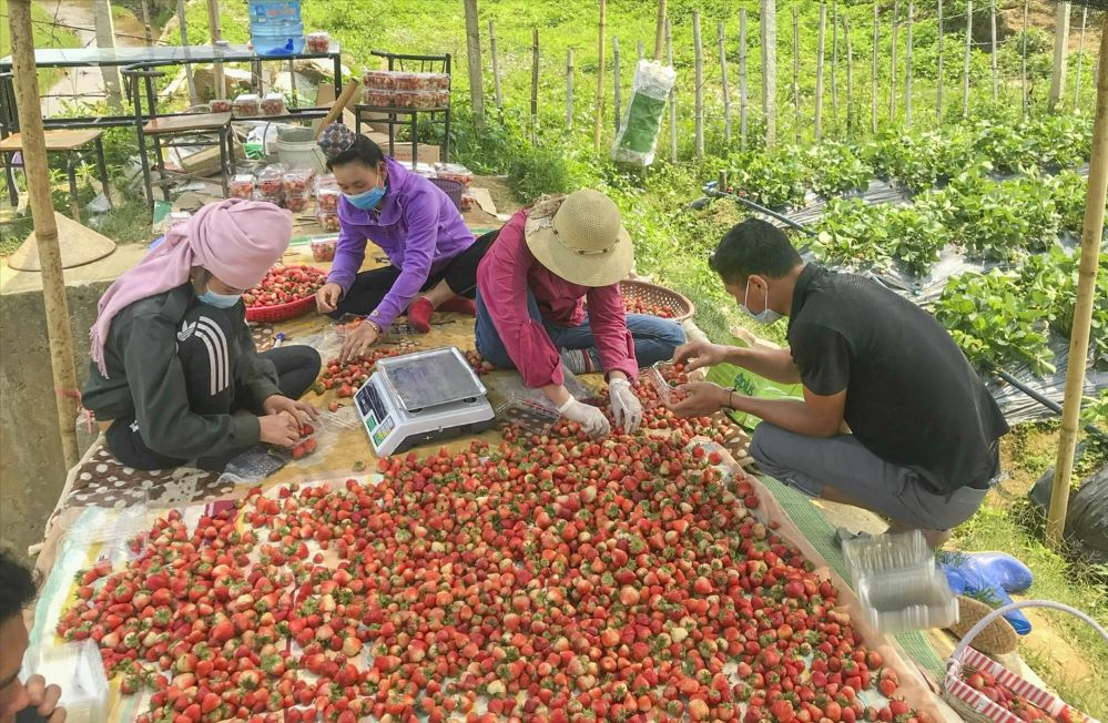 Nông thôn mới đổi thay vùng núi nghèo