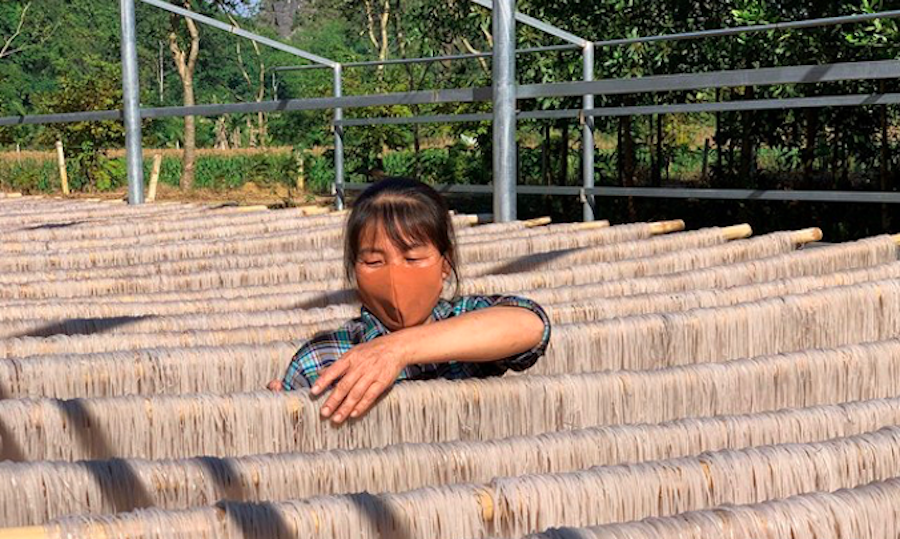 Hợp tác xã giàu mạnh giúp thay đổi diện mạo nông thôn