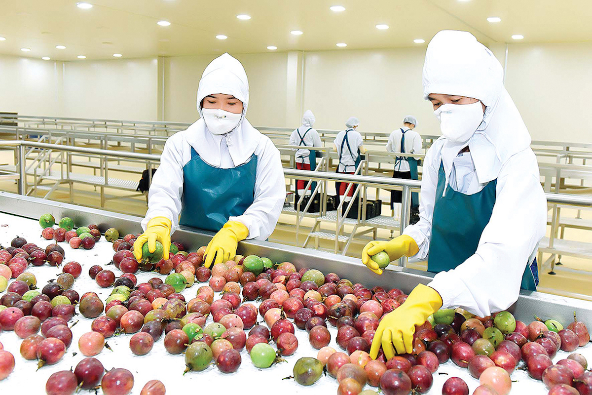 Nông sản loay hoay xin ‘tấm vé’ vào thị trường Trung Quốc