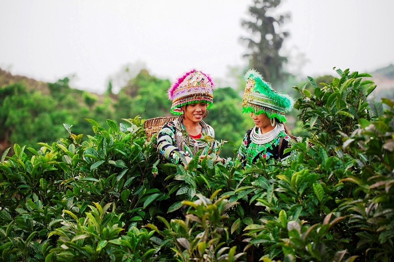 Giảm nghèo ở vùng núi đá Hà Giang