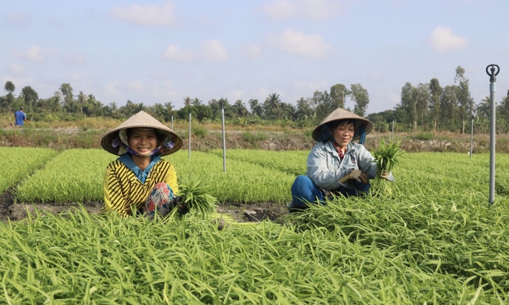 Thành phố Cần Thơ chung sức xây dựng nông thôn mới