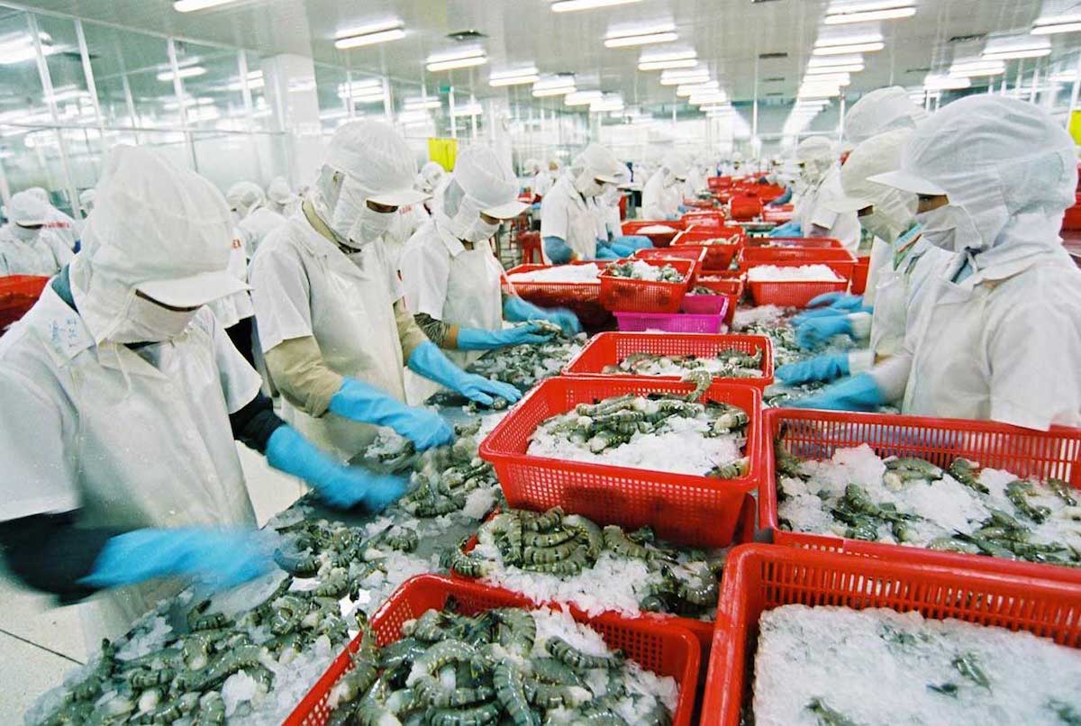 Nông sản phải thích ứng với hàng nghìn thay đổi về an toàn thực phẩm mỗi năm