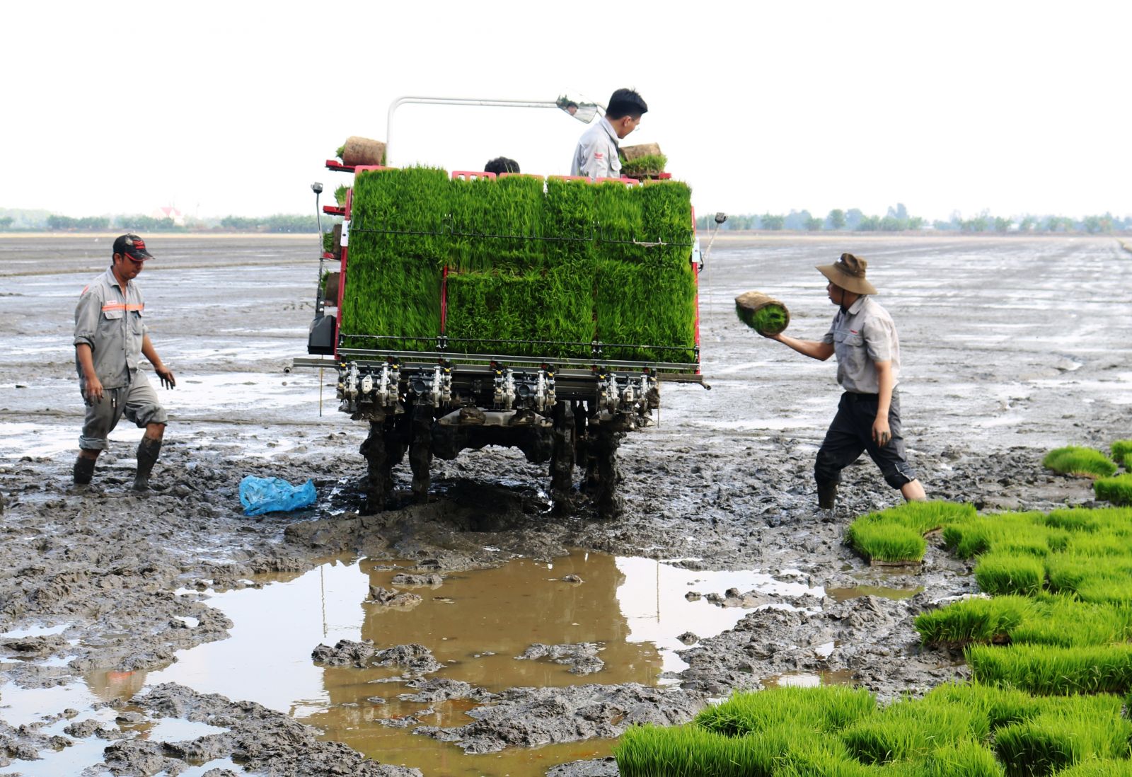 Hỗ trợ xa tầm với khiến HTX không khỏi chạnh lòng