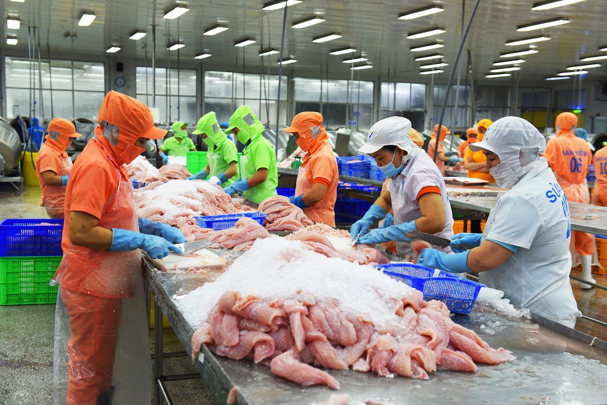Tìm giải pháp đưa ngành cá tra lên 'nấc thang' mới