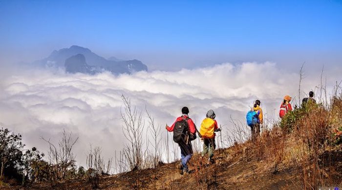Lấp lánh 'ngọc' Y Tý