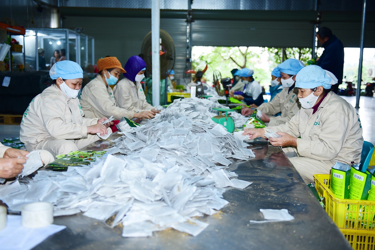 Hành trình khởi nghiệp của Kiên Cà