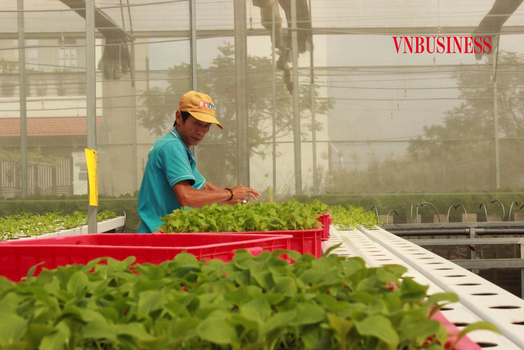 Kỳ vọng cách mạng xanh lần 2 với nông nghiệp tái sinh