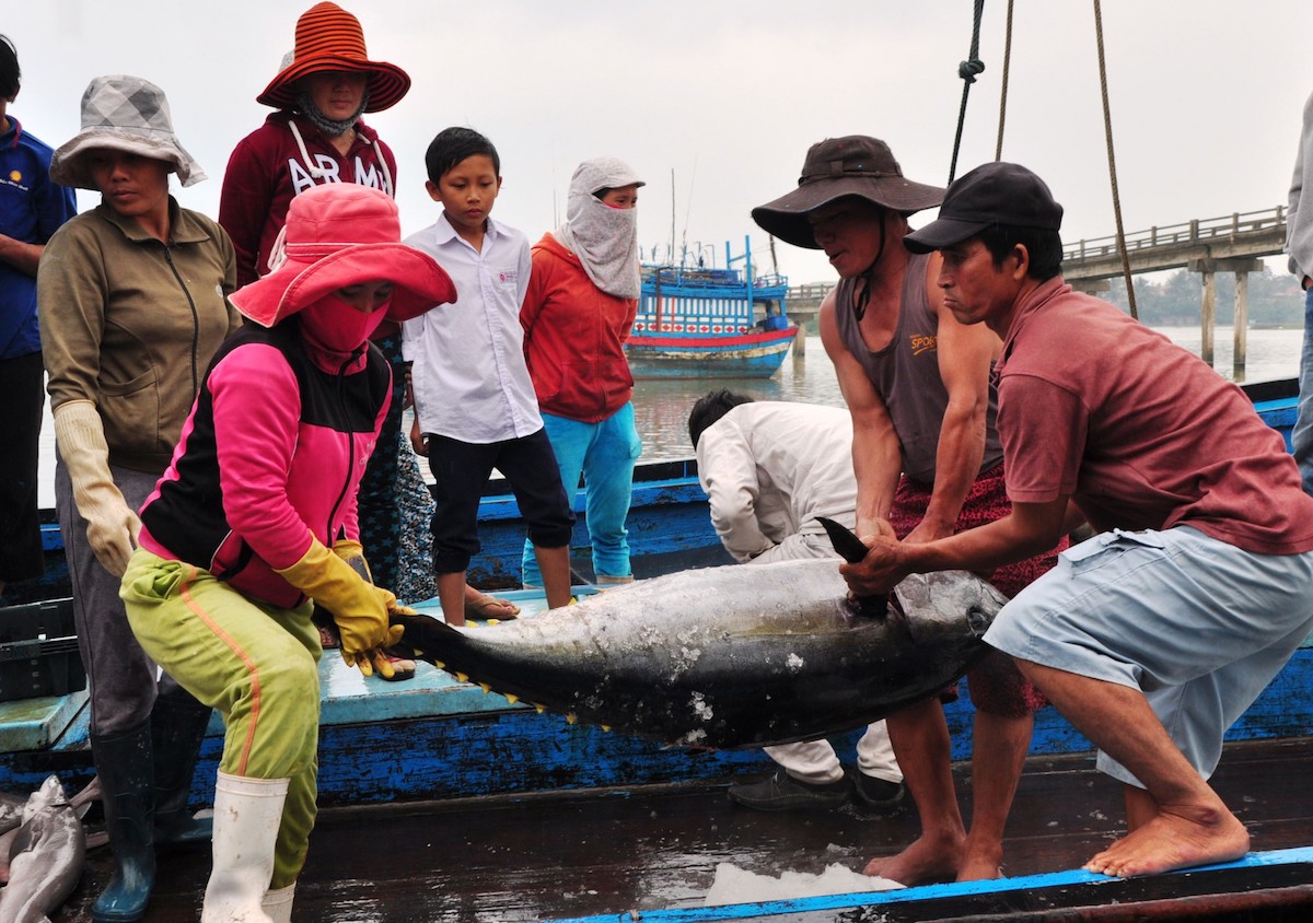 Muốn gỡ 'thẻ vàng', không thể phạt khai thác bất hợp pháp bằng 'nhắc nhở, cam kết'