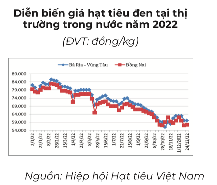 Giá tiêu bật tăng trở lại hay tiếp tục rớt mạnh trong năm 2023?
