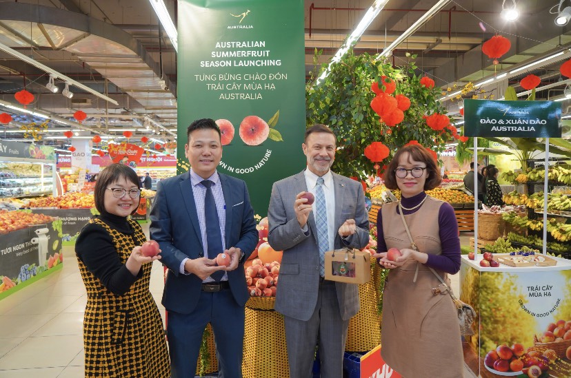 Phục vụ người dùng đón Tết, Đào và Xuân Đào Australia 'ồ ạt' vào Việt Nam