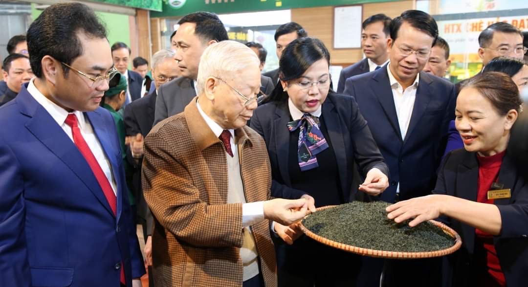 Trao đổi về sửa đổi luật HTX: Loay hoay tìm lối ra và động lực cho HTX (Bài cuối)