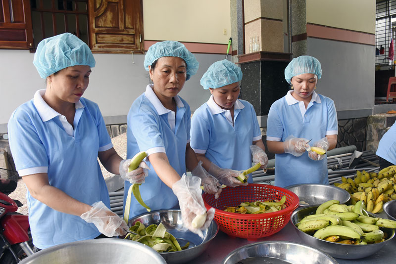 Cung không đủ cầu, HTX đứng trước nguy cơ vuột mất đơn hàng xuất khẩu lớn