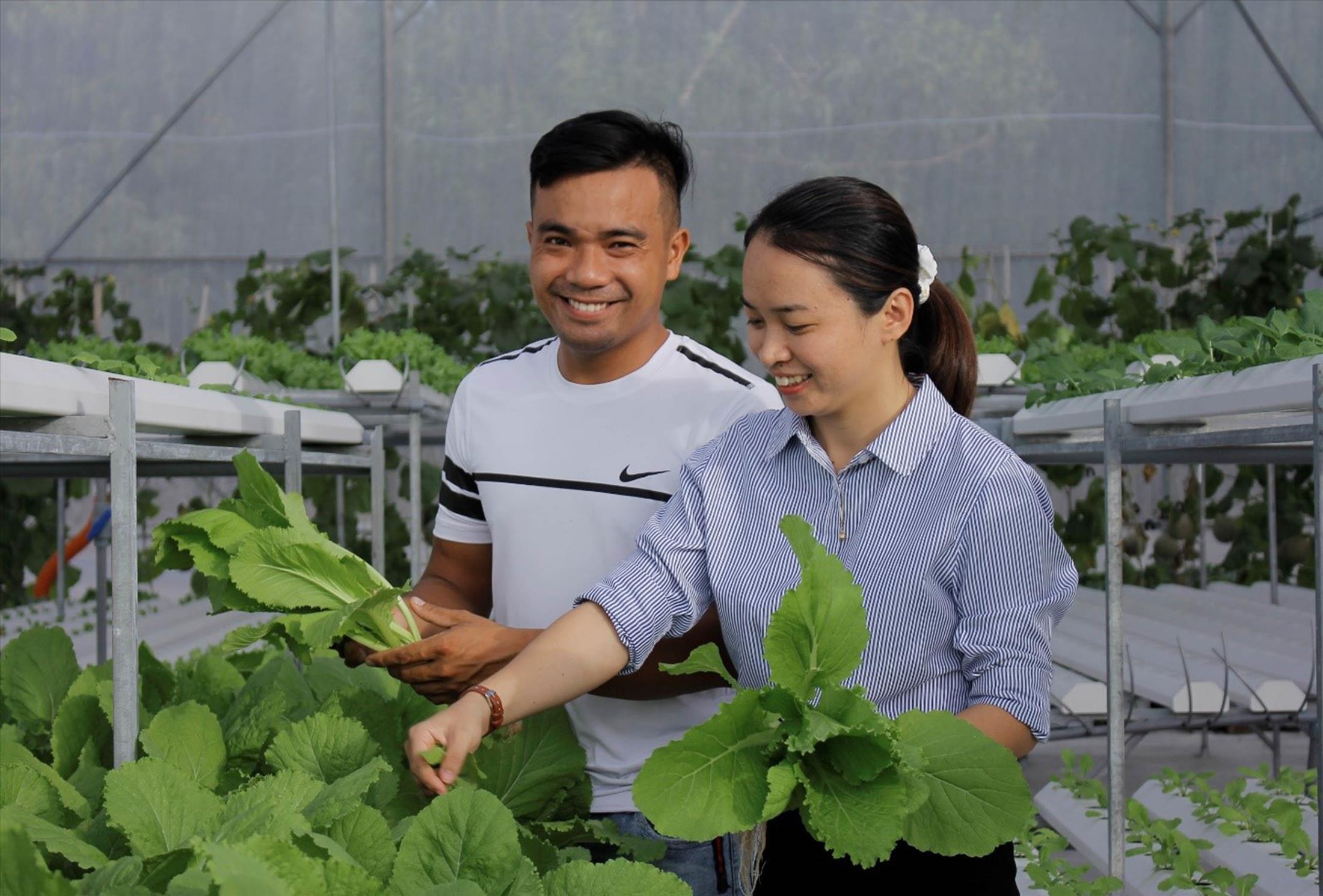Khởi nghiệp từ mô hình HTX: 'Cái khó bó cái khôn'