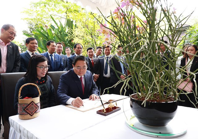 Singapore định danh loài hoa lan mới theo tên Thủ tướng Phạm Minh Chính và phu nhân