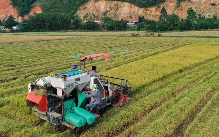 Giảm nghèo ở miền đất huyền thoại