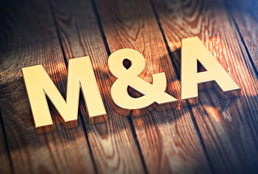 Cẩn trọng 'theo sóng M&A'