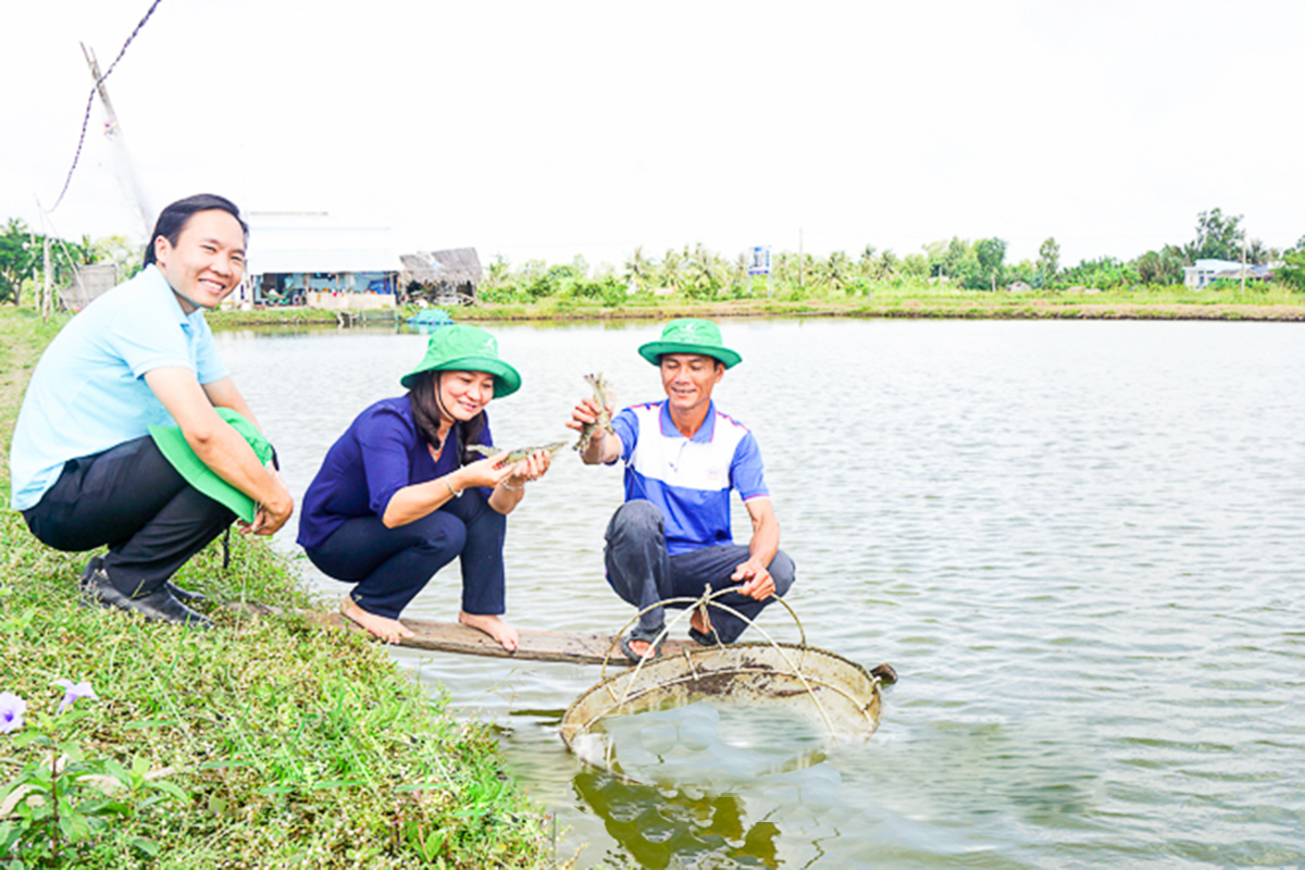 Khát vọng nâng chất nông thôn mới ở Mỹ Xuyên