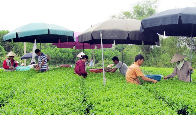 Xây dựng nông thôn mới gắn với đào tạo nghề