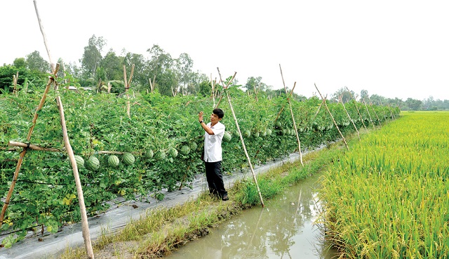Thích ứng với biến đổi khí hậu từ chương trình nông thôn mới