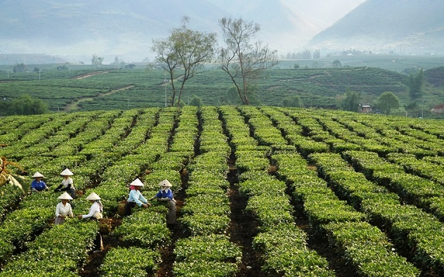 Đổi thay ở xã vùng cao Phúc Khoa