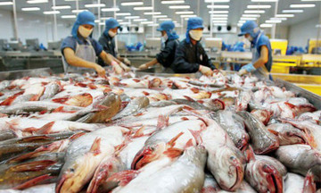 Đơn hàng xuất khẩu cá tra giảm 50% vì 'bão lạm phát' toàn cầu